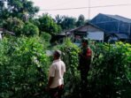 IMG-20240427-WA0043